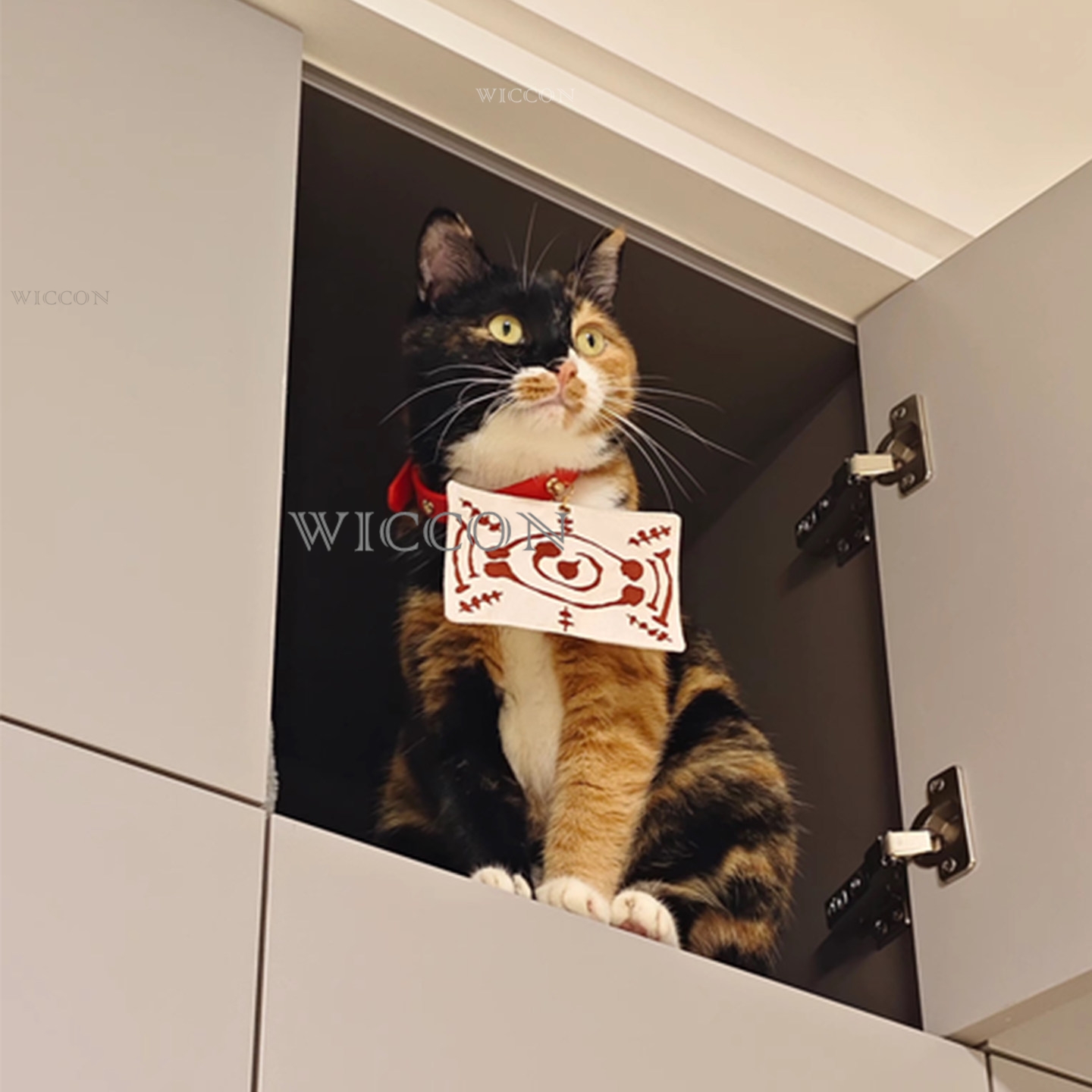 Chachamaru Cat Tamayos Haustie – Cosplay Anime Jjk Bewertung und Preis
