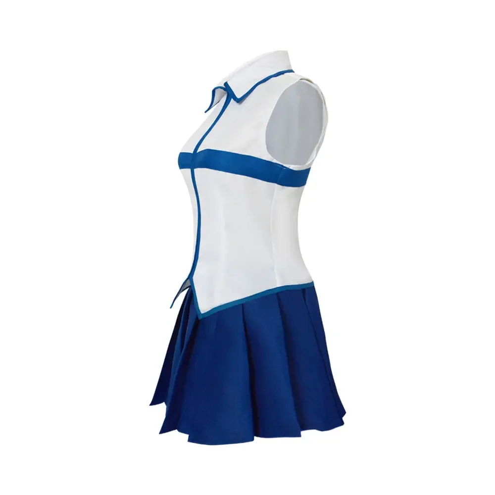 Fairy Tail Blaues und weißes ä – Anime Cosplay Expo 2025 Bewertung und Preis